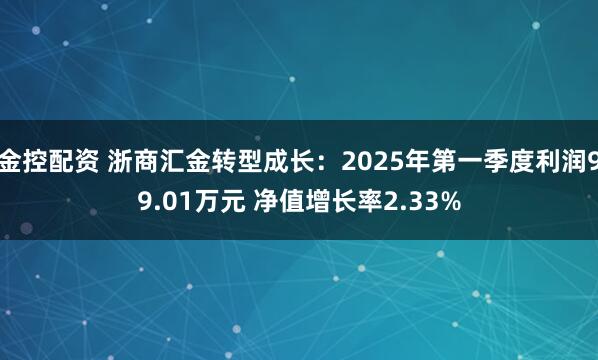金控配资 浙商汇金转型成长：2025年第一季度利润99.01万元 净值增长率2.33%