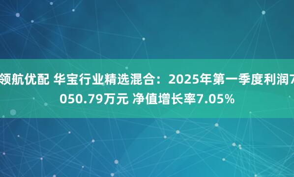 领航优配 华宝行业精选混合：2025年第一季度利润7050.79万元 净值增长率7.05%