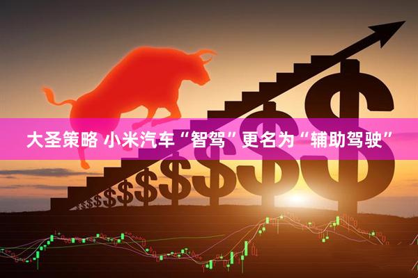 大圣策略 小米汽车“智驾”更名为“辅助驾驶”