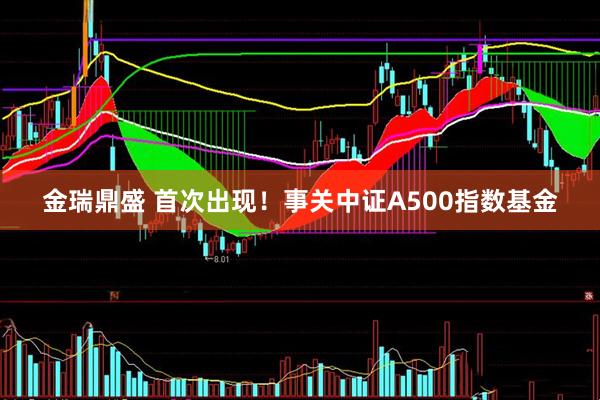金瑞鼎盛 首次出现！事关中证A500指数基金