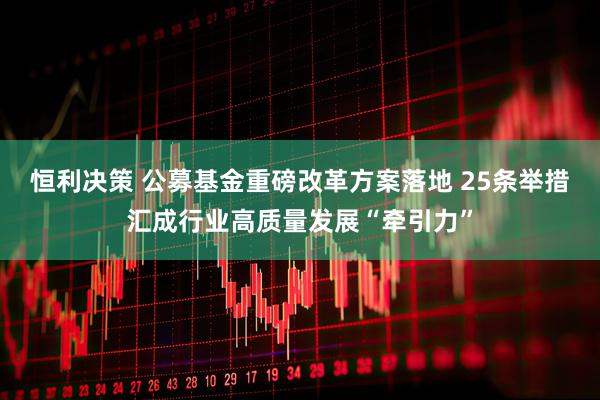 恒利决策 公募基金重磅改革方案落地 25条举措汇成行业高质量发展“牵引力”