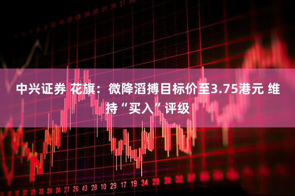 中兴证券 花旗：微降滔搏目标价至3.75港元 维持“买入”评级