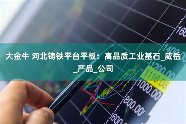 大金牛 河北铸铁平台平板：高品质工业基石_威岳_产品_公司